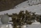 database image