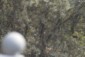 database image