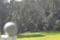 database image