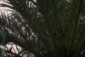 database image