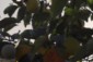 database image
