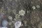 database image