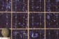 database image